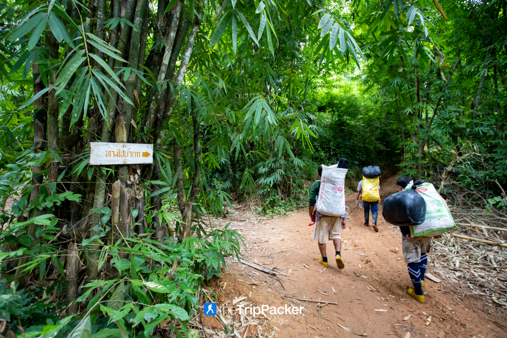 "เปรโต๊ะลอซู" หัวใจกลางผืนป่าอุ้มผาง : ราคาที่ต้องจ่ายด้วยสองเท้า