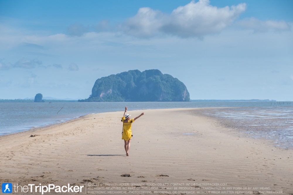 "สันหลังมังกรเหลือง" UNSEEN แห่งใหม่ของท้องทะเลตรัง