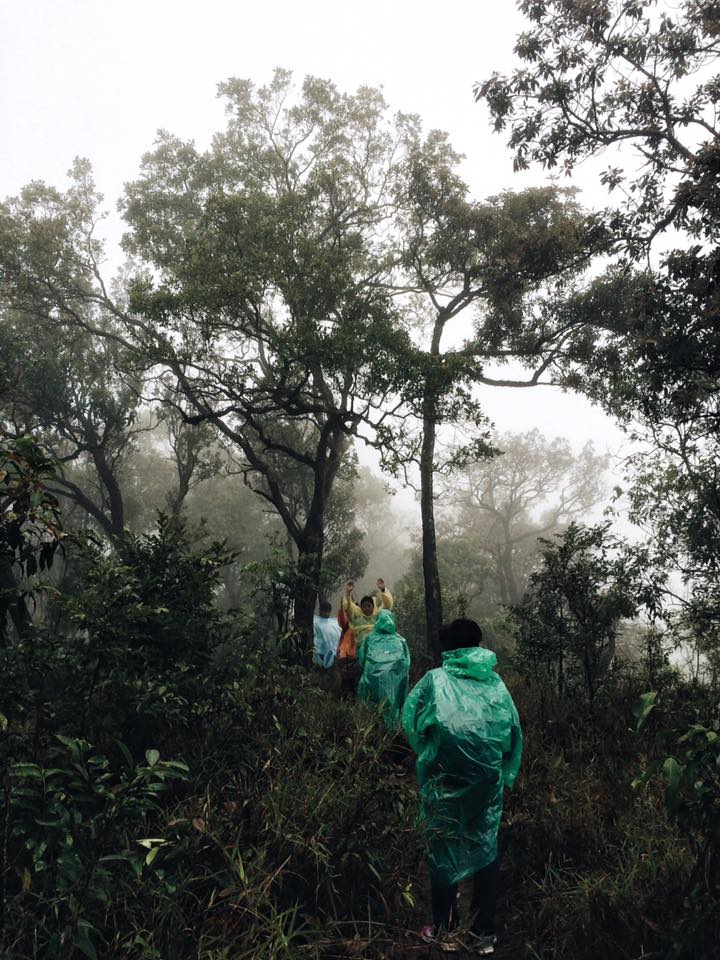 พ้นจากช่วงวิกฤต แล้วค่า ขึ้นเนินลงเนินกันต่อ