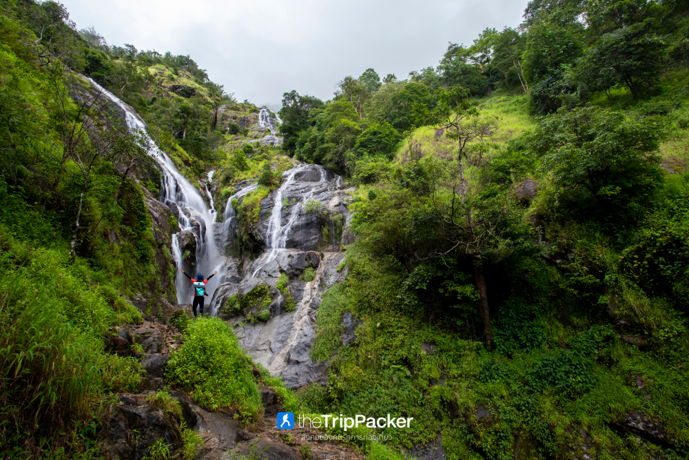 "เปรโต๊ะลอซู" หัวใจกลางผืนป่าอุ้มผาง : ราคาที่ต้องจ่ายด้วยสองเท้า