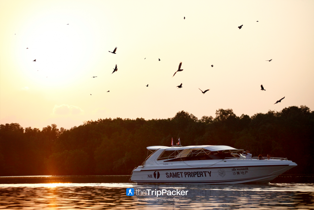 บ้านทะเลน้อย : ล่องแพ ส่องเหยี่ยว เที่ยวจนพระอาทิตย์ตก