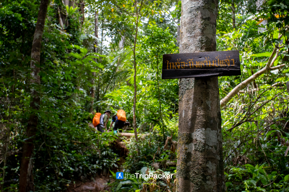 "เปรโต๊ะลอซู" หัวใจกลางผืนป่าอุ้มผาง : ราคาที่ต้องจ่ายด้วยสองเท้า