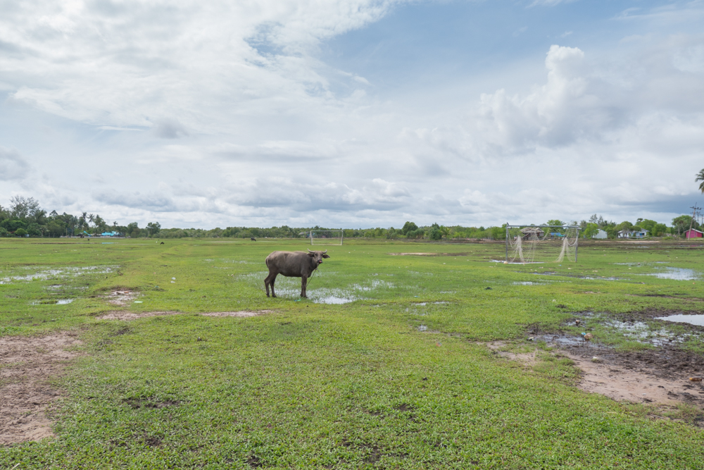 "ชุมชนเกาะกลาง" สัมผัสวิถีชาวเลเมืองกระบี่ กับ 3 สิ่งที่มาแล้ว...ต้องห้ามพลาด!