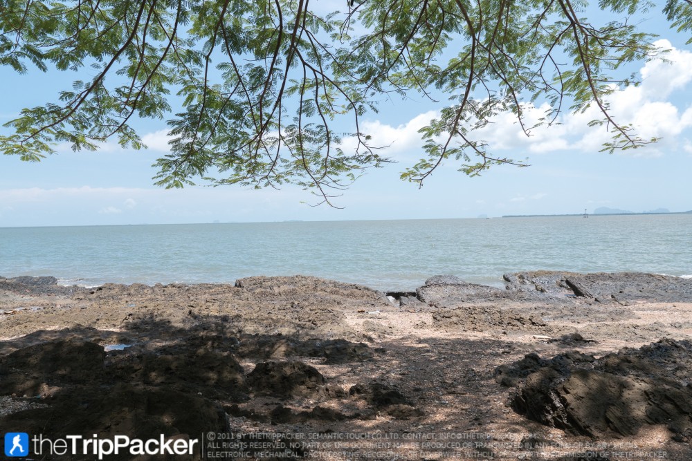 "สันหลังมังกรเหลือง" UNSEEN แห่งใหม่ของท้องทะเลตรัง