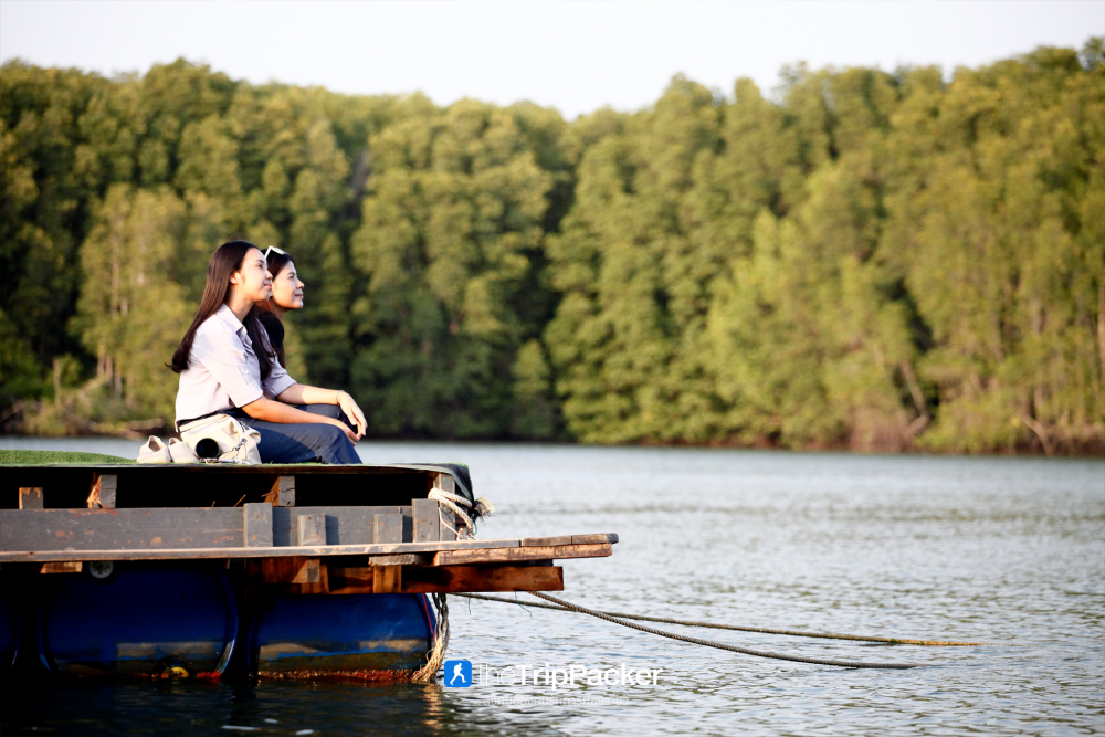 บ้านทะเลน้อย : ล่องแพ ส่องเหยี่ยว เที่ยวจนพระอาทิตย์ตก