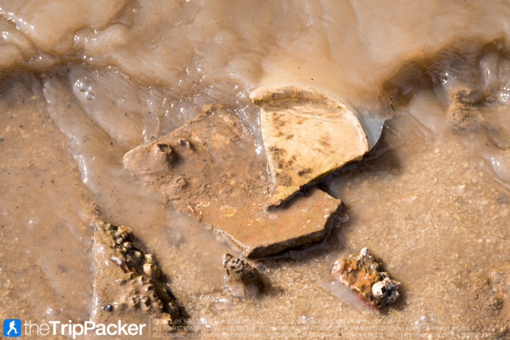 "สันหลังมังกรเหลือง" UNSEEN แห่งใหม่ของท้องทะเลตรัง