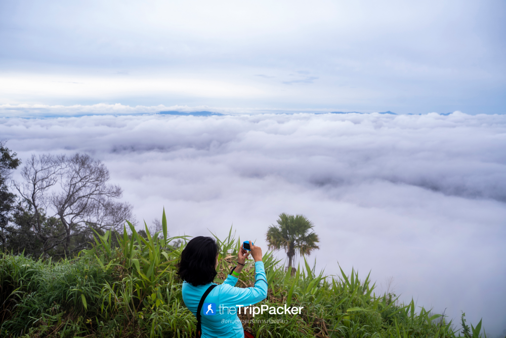 "เปรโต๊ะลอซู" หัวใจกลางผืนป่าอุ้มผาง : ราคาที่ต้องจ่ายด้วยสองเท้า