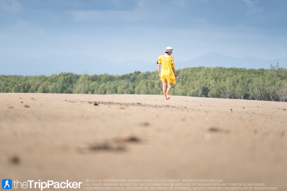 "สันหลังมังกรเหลือง" UNSEEN แห่งใหม่ของท้องทะเลตรัง