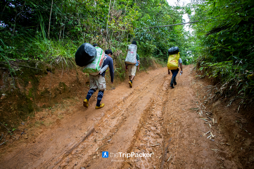 "เปรโต๊ะลอซู" หัวใจกลางผืนป่าอุ้มผาง : ราคาที่ต้องจ่ายด้วยสองเท้า