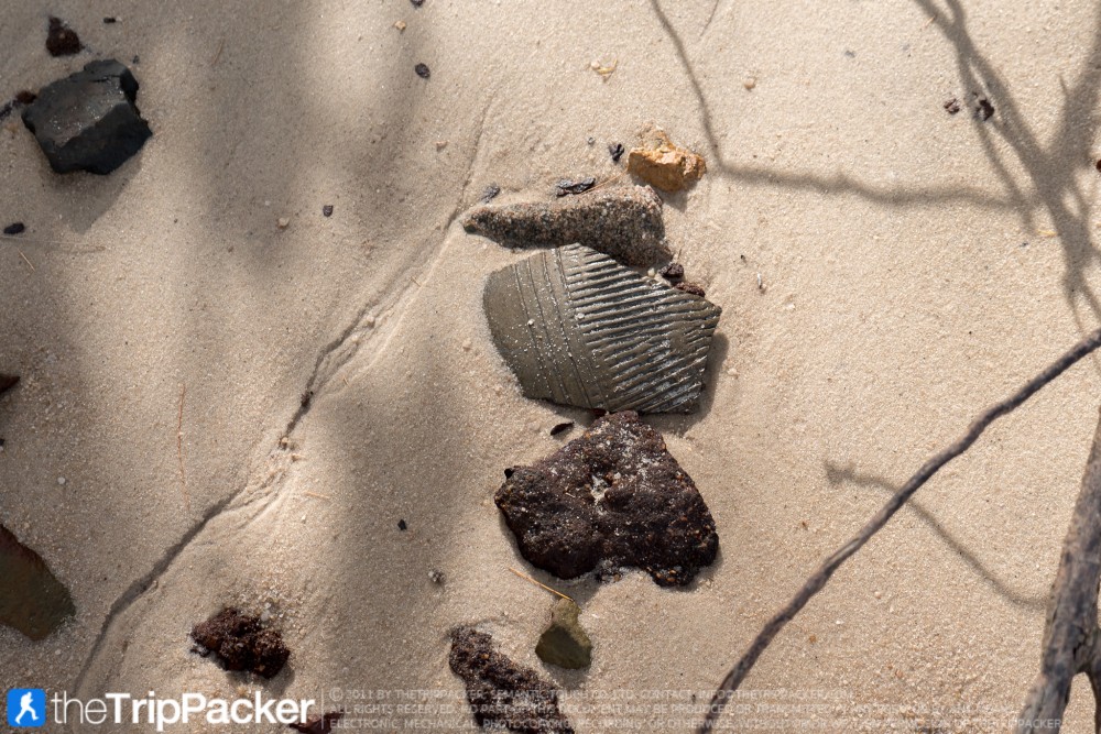 "สันหลังมังกรเหลือง" UNSEEN แห่งใหม่ของท้องทะเลตรัง