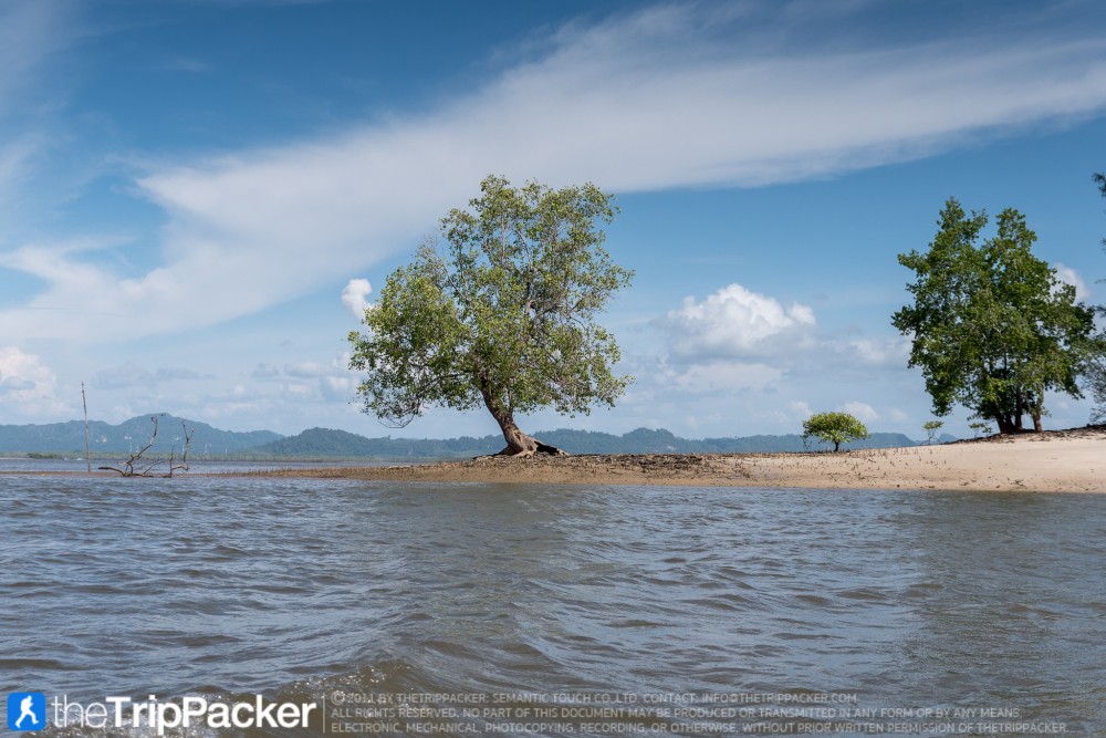 "สันหลังมังกรเหลือง" UNSEEN แห่งใหม่ของท้องทะเลตรัง