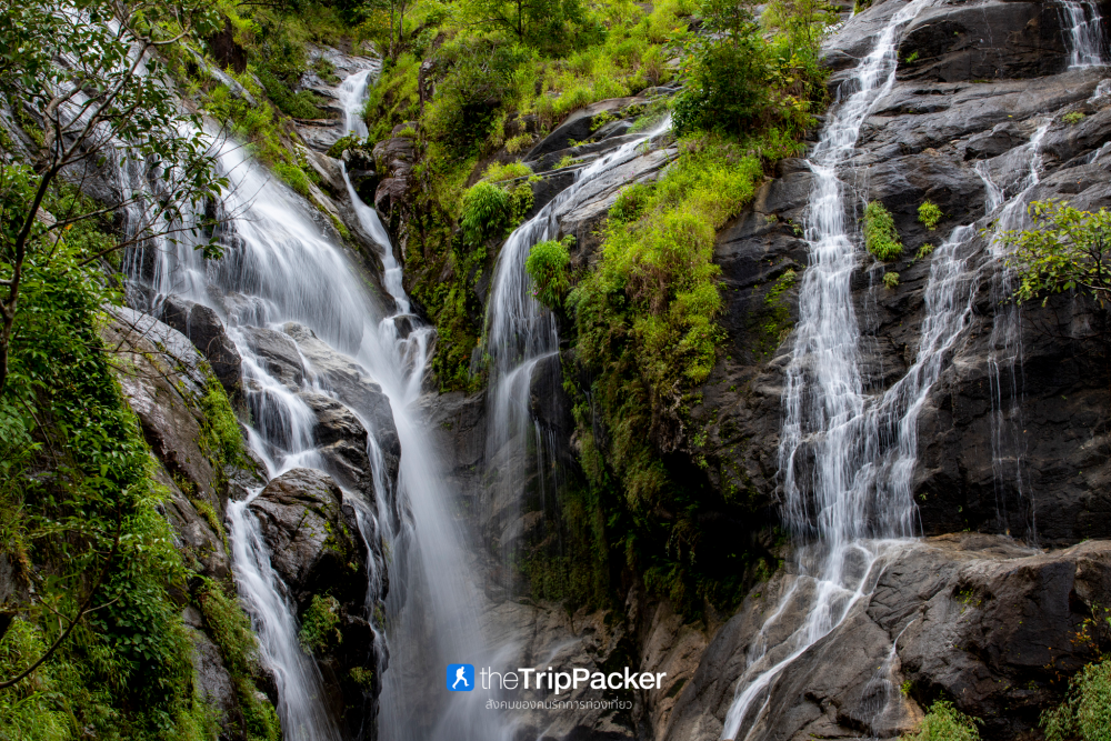 "เปรโต๊ะลอซู" หัวใจกลางผืนป่าอุ้มผาง : ราคาที่ต้องจ่ายด้วยสองเท้า