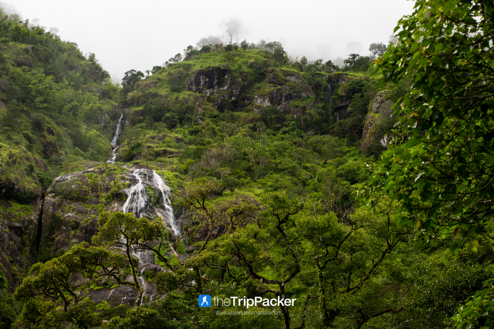 "เปรโต๊ะลอซู" หัวใจกลางผืนป่าอุ้มผาง : ราคาที่ต้องจ่ายด้วยสองเท้า