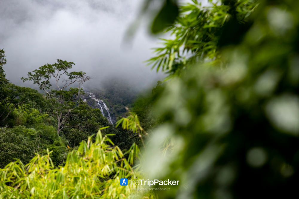 "เปรโต๊ะลอซู" หัวใจกลางผืนป่าอุ้มผาง : ราคาที่ต้องจ่ายด้วยสองเท้า