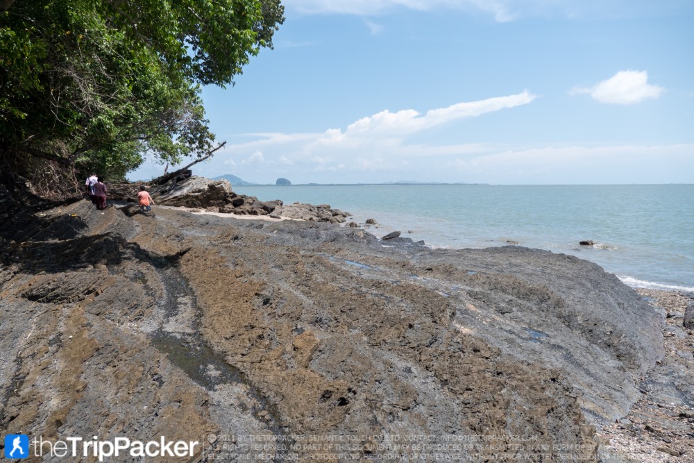 "สันหลังมังกรเหลือง" UNSEEN แห่งใหม่ของท้องทะเลตรัง