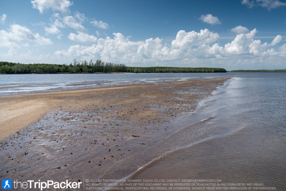 "สันหลังมังกรเหลือง" UNSEEN แห่งใหม่ของท้องทะเลตรัง