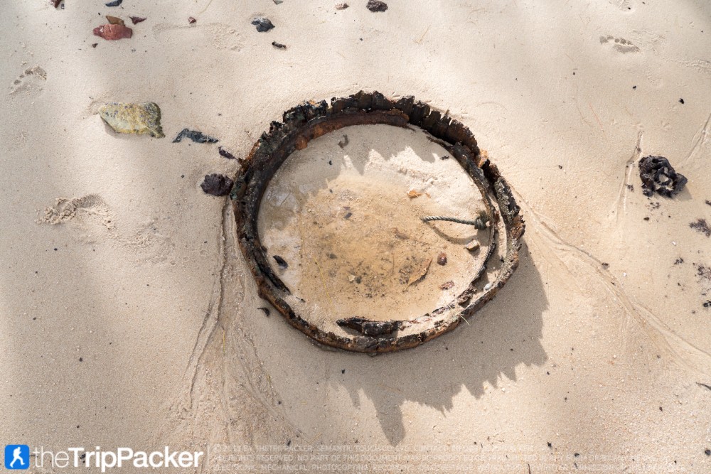 "สันหลังมังกรเหลือง" UNSEEN แห่งใหม่ของท้องทะเลตรัง