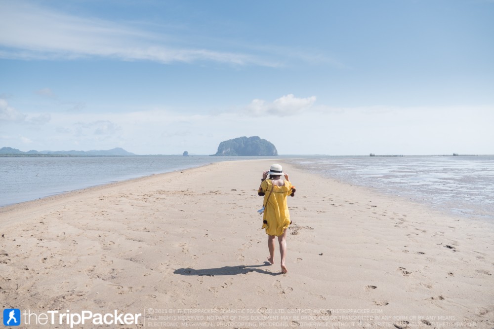 "สันหลังมังกรเหลือง" UNSEEN แห่งใหม่ของท้องทะเลตรัง