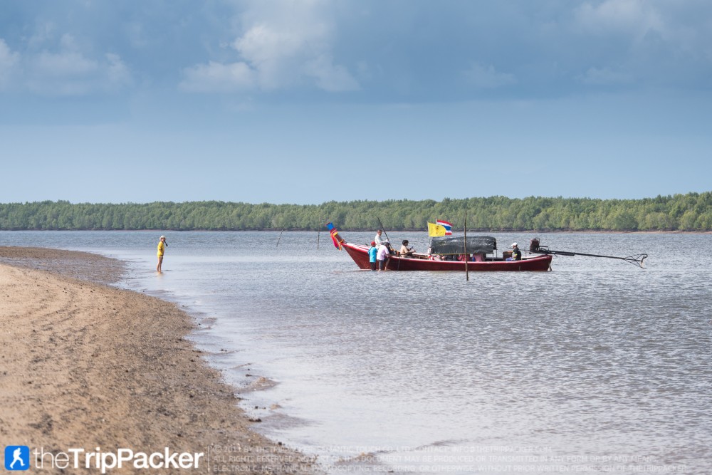 "สันหลังมังกรเหลือง" UNSEEN แห่งใหม่ของท้องทะเลตรัง