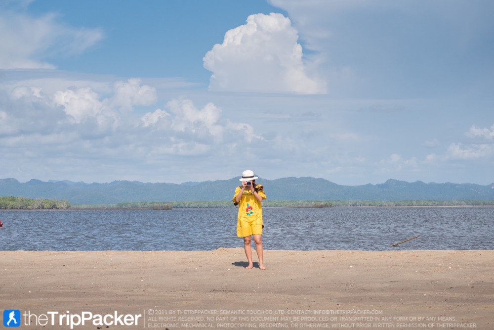 "สันหลังมังกรเหลือง" UNSEEN แห่งใหม่ของท้องทะเลตรัง