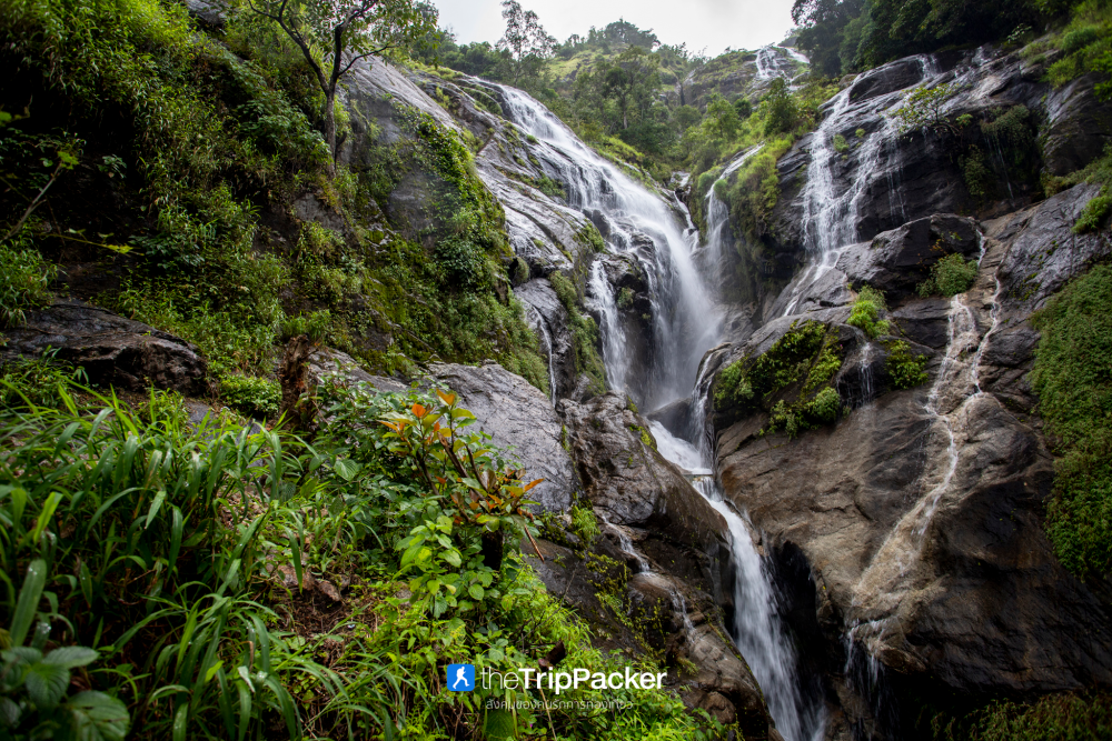 "เปรโต๊ะลอซู" หัวใจกลางผืนป่าอุ้มผาง : ราคาที่ต้องจ่ายด้วยสองเท้า