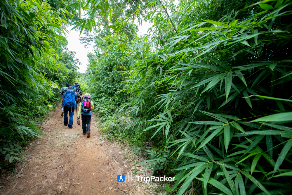 "เปรโต๊ะลอซู" หัวใจกลางผืนป่าอุ้มผาง : ราคาที่ต้องจ่ายด้วยสองเท้า