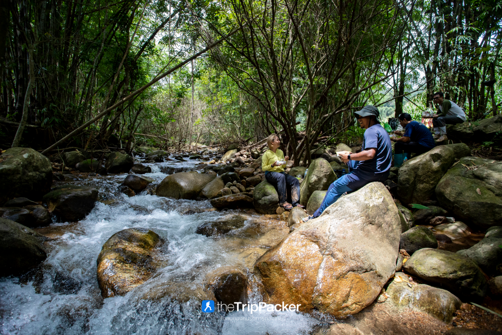 "เปรโต๊ะลอซู" หัวใจกลางผืนป่าอุ้มผาง : ราคาที่ต้องจ่ายด้วยสองเท้า