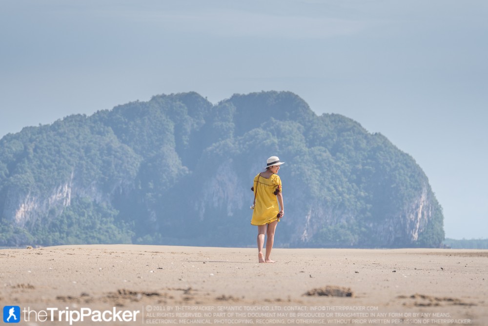 "สันหลังมังกรเหลือง" UNSEEN แห่งใหม่ของท้องทะเลตรัง