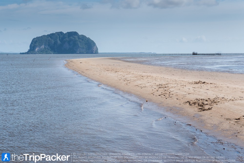 "สันหลังมังกรเหลือง" UNSEEN แห่งใหม่ของท้องทะเลตรัง