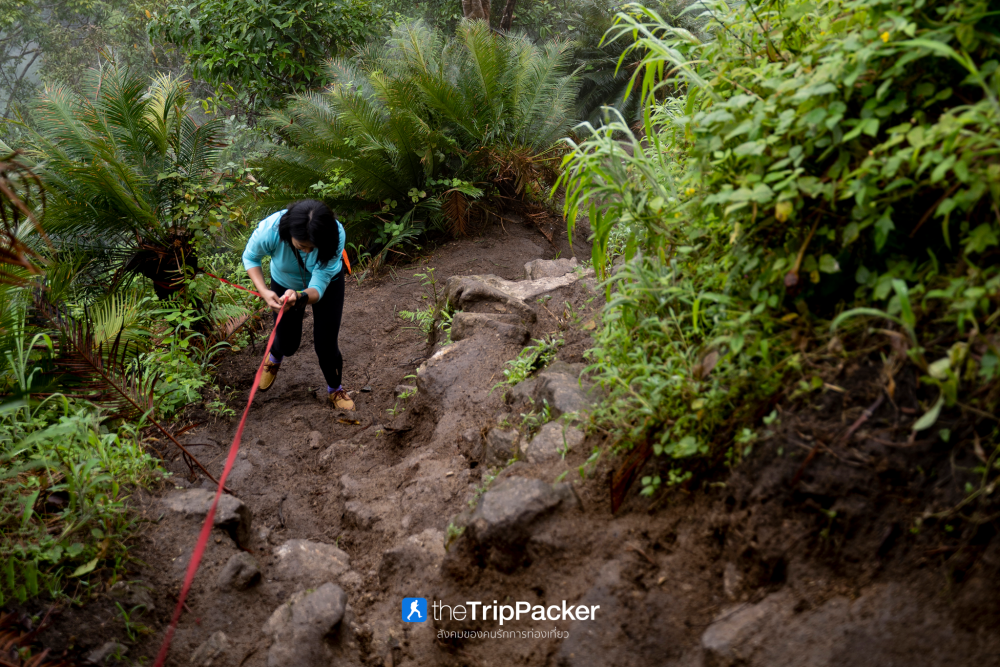 "เปรโต๊ะลอซู" หัวใจกลางผืนป่าอุ้มผาง : ราคาที่ต้องจ่ายด้วยสองเท้า