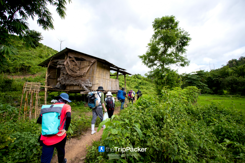 "เปรโต๊ะลอซู" หัวใจกลางผืนป่าอุ้มผาง : ราคาที่ต้องจ่ายด้วยสองเท้า