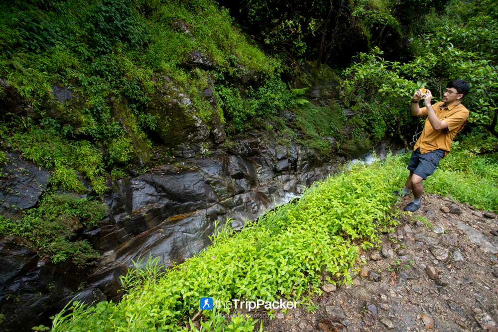 "เปรโต๊ะลอซู" หัวใจกลางผืนป่าอุ้มผาง : ราคาที่ต้องจ่ายด้วยสองเท้า