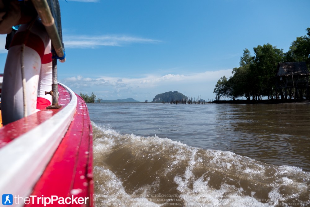 "สันหลังมังกรเหลือง" UNSEEN แห่งใหม่ของท้องทะเลตรัง