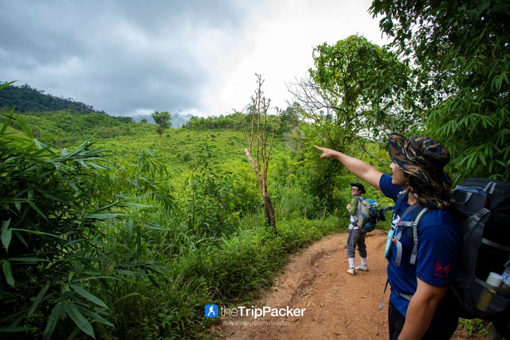 "เปรโต๊ะลอซู" หัวใจกลางผืนป่าอุ้มผาง : ราคาที่ต้องจ่ายด้วยสองเท้า