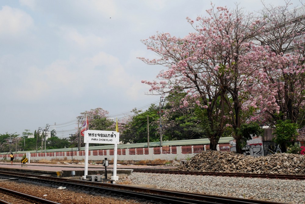 à¸à¸¥à¸à¸²à¸£à¸à¹à¸à¸«à¸²à¸£à¸¹à¸à¸ à¸²à¸à¸ªà¸³à¸«à¸£à¸±à¸ à¸ªà¸à¸²à¸à¸µà¸£à¸à¹à¸à¸à¸£à¸°à¸à¸­à¸¡à¹à¸à¸¥à¹à¸²