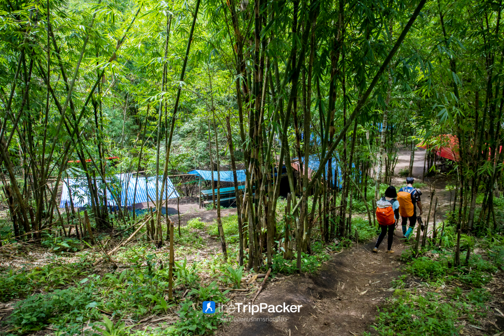 "เปรโต๊ะลอซู" หัวใจกลางผืนป่าอุ้มผาง : ราคาที่ต้องจ่ายด้วยสองเท้า