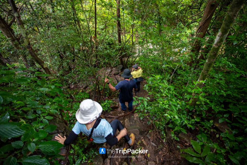 "เปรโต๊ะลอซู" หัวใจกลางผืนป่าอุ้มผาง : ราคาที่ต้องจ่ายด้วยสองเท้า