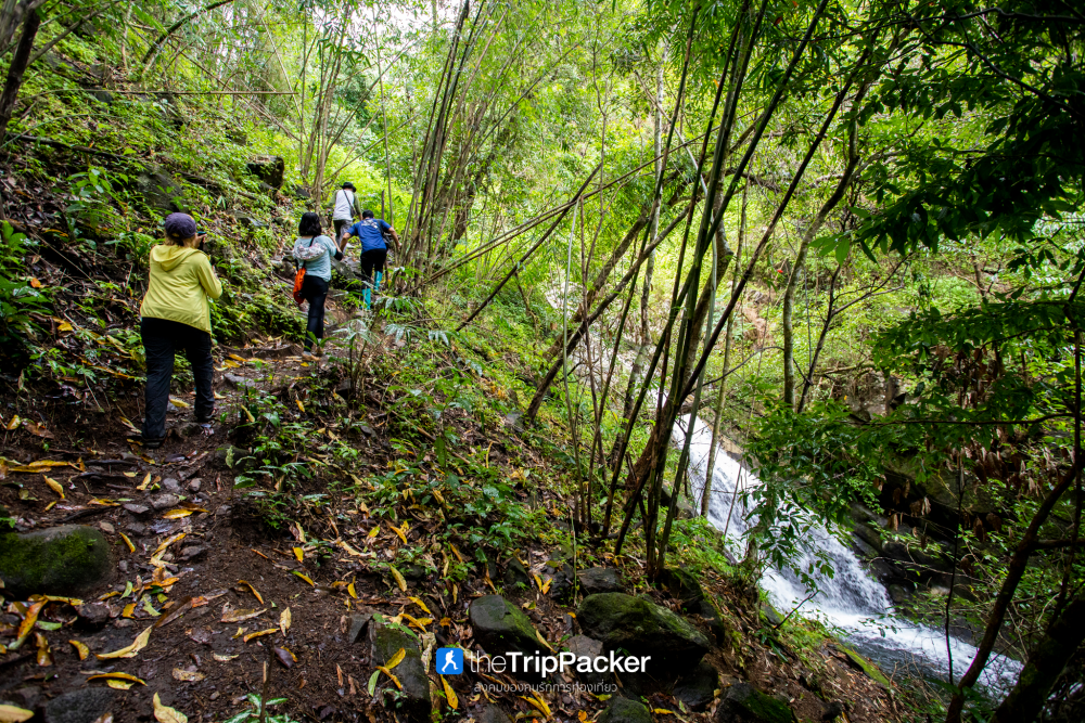 "เปรโต๊ะลอซู" หัวใจกลางผืนป่าอุ้มผาง : ราคาที่ต้องจ่ายด้วยสองเท้า