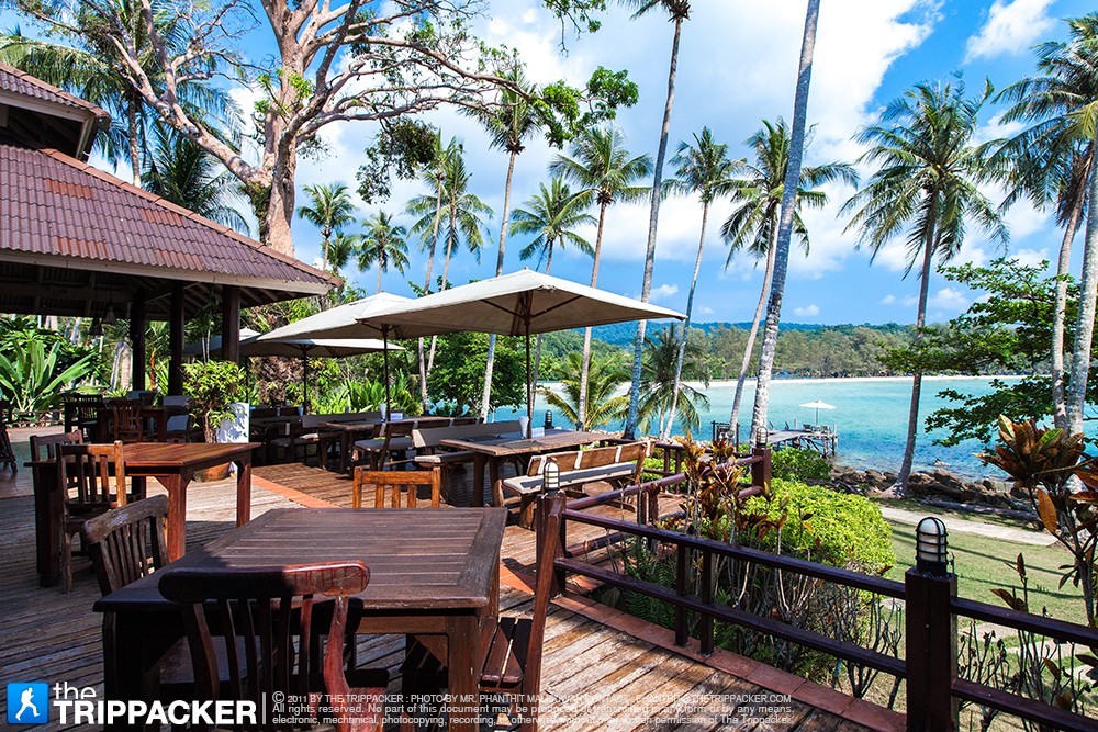 ใครไม่ไหวกับแดดก็ขยับร่างเข้ามาด้านในหน่อยก็ได้เช่นเดียวกัน